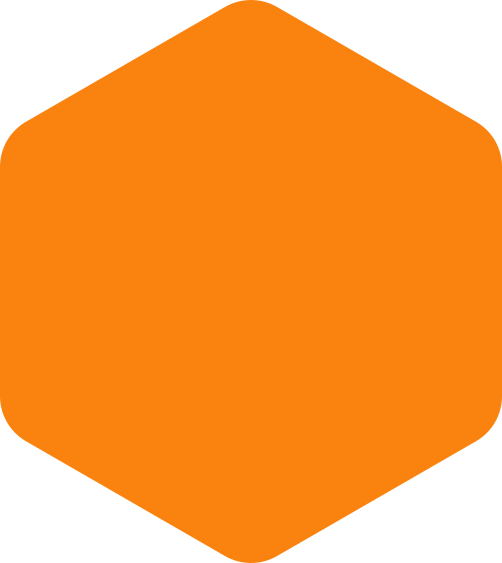 https://www.vm-projectontwikkeling.nl/wp-content/uploads/2020/09/hexagon-orange-huge.png